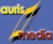 Auris Media  2000